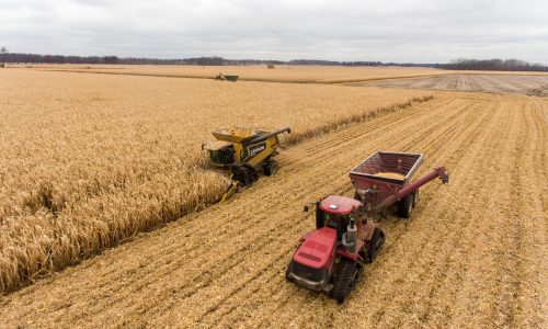 Farmer working the field with a combined harvester